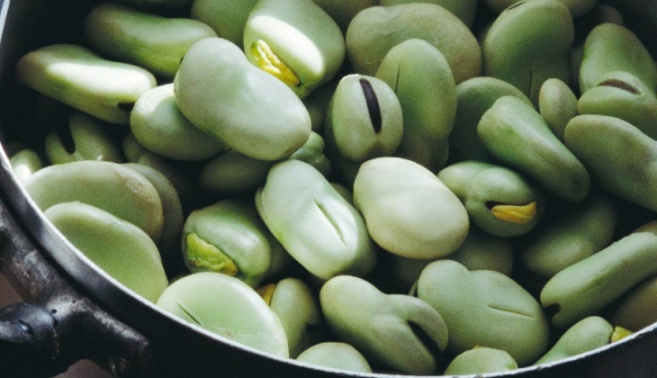 Toprağa eken hasat döneminde altına yeni bir araba çekiyor. İşte zengin olmak isteyen çiftçilerin gözdesi