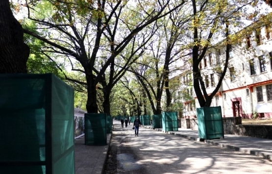 Saraçoğlu mahallesi metruk halinden kurtuluyor!