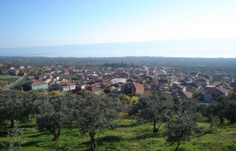 Orhangazi'de 29.8 milyon TL'ye satılık 2 arsa!