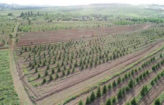 Atatürk Orman Çiftliği nin plan değişikliğinde son durum!
