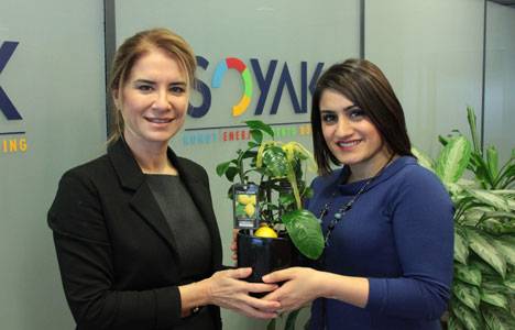 Soyak Holding şirketleri çalışanlarının karbon ayak izleri sıfırlanıyor!