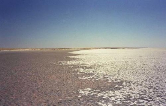 Tuzla Gölü kesin korunacak alan ilan edildi!