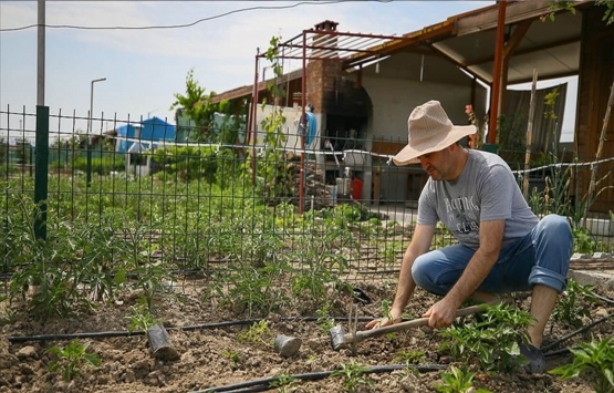 Geleceğin umudu: dikey tarımlaşma!