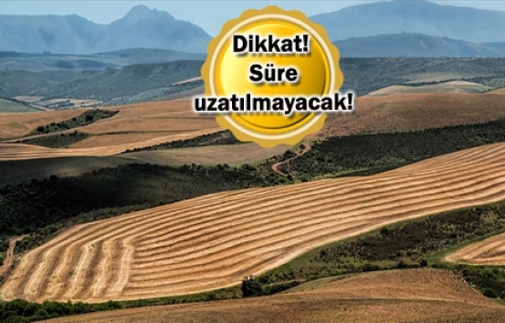 Tarım arazileri ve 2B taşınmazlarının satış başvuruları için son 5 gün!