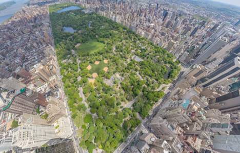 Asya Şehir Ormanı 2,5 milyon dolara ihale edildi!