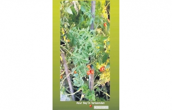 Gülşen 15 milyon liralık evini çiftliğe çevirdi!