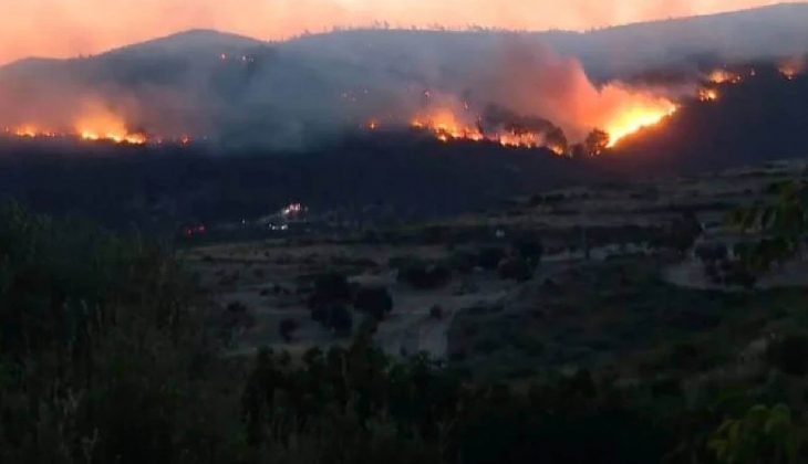 Yangınlarda küle dönen Urla daki Bakir Koyu imara açıldı! 650 villa yapılacak