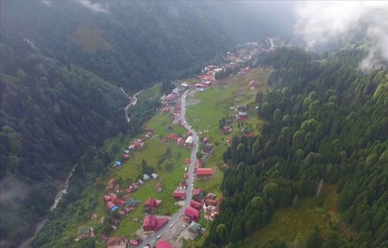 Ayder Yaylası Spor Tesisleri ihalesini Turgut Müteahhitlik kazandı!