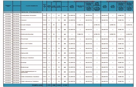 Biruni Üniversitesi nerede?