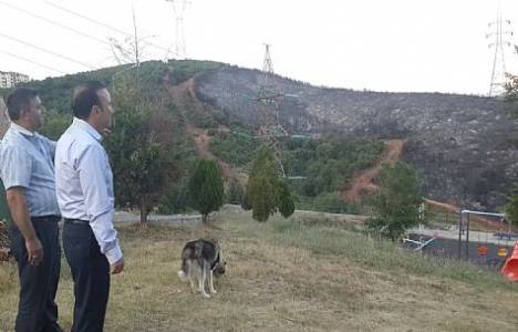  Nevzat Doğan: İzmit'te yanan alanlar ağaçlandırılacak!