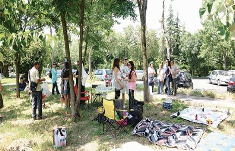 Külliye için 4 dönümlük arazideki ağaçlar söküldü!