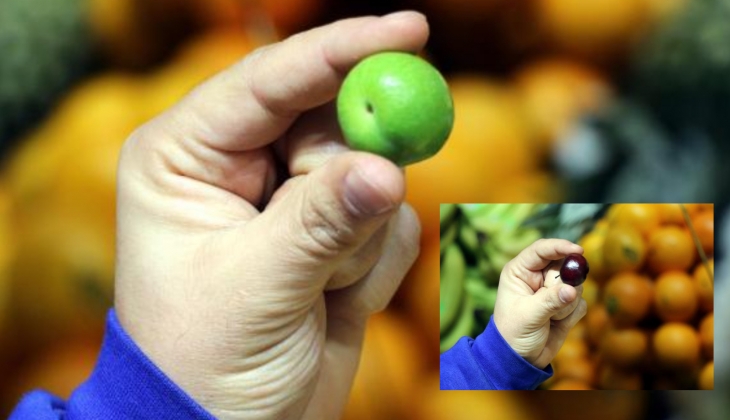 Erik ve kiraz cep yakıyor: Fiyatı çeyrek altınla yarışıyor!