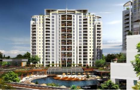 Nuvo Dragos resimleri!