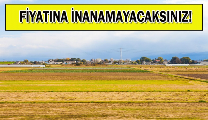 Milli Emlak'tan büyük fırsat! Balıkesir'de konut alanı imarlı arsa satıyor!