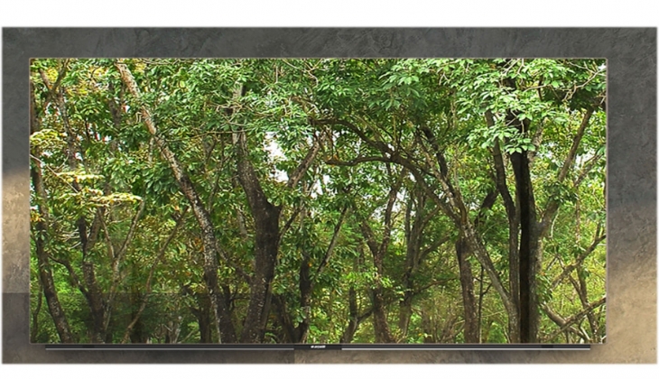 Arçelik OLED TV de Nisan fırsatı! 8.600 TL lik dev indirim! İşte 25 Nisan 2022 fiyat listesi...