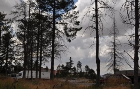 Nevşehir Karayolları Şefliği alanı değerlendirilmeyi bekliyor!