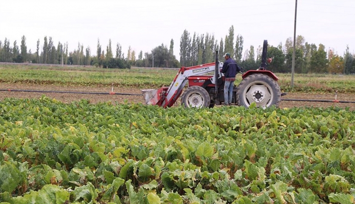 Gübre fiyatlarındaki son durum ne? Nisan ayı gübre fiyatları ne kadar oldu?