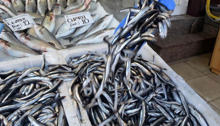 İstanbul Hal fiyatları belli oldu! Hamsi, istavrit, kefal, levrek ne kadar? 27 Aralık 2022 fiyat listesi