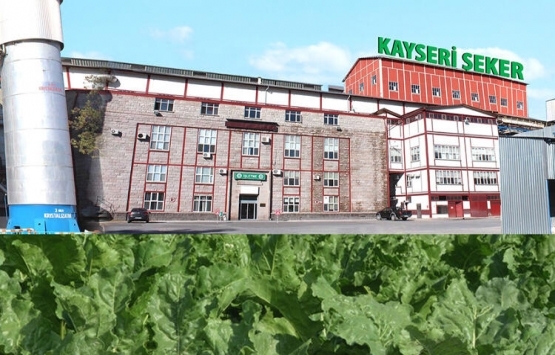 Özelleştirme İdaresi, Kayseri Şeker'deki hissesini Varlık Fonu'na devretti!