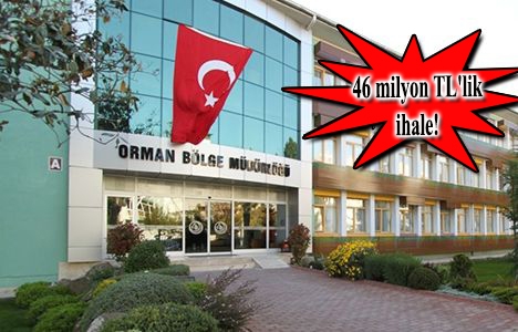 Ankara Orman Müdürlüğü inşaat ihalesi 27 Aralık'a ertelendi!