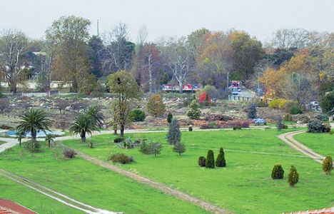 Yalova'daki arboretum arazisi turizme mi açılıyor?