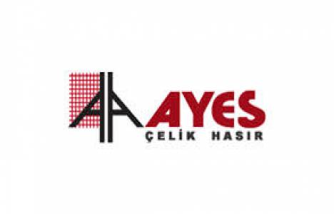 Ayes Çelik