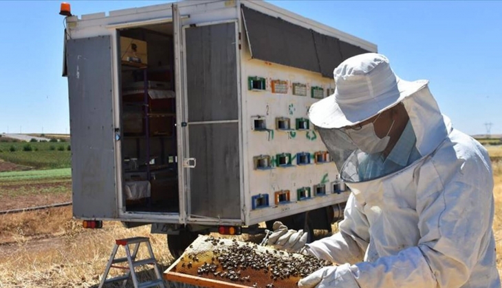 SON DAKİKA! Arıcılık yapanlara yeni destek müjdesi: Tam bu kadar verilecek! Resmi Gazete de yayımlandı!