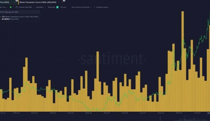 Kripto parası olanlar dikkat! Balinalarda hareketlilik başladı! İşte fiyatı artan altcoinler!