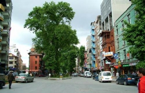 Kocaeli'de 5 mahalle SİT alanına girdi!