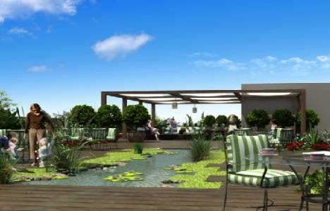 Almira Gold Stars Beylikdüzü resimleri!