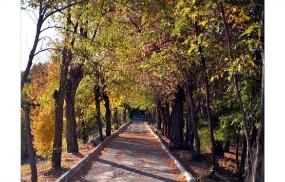 Muş ta 14.6 milyon TL ye satılık gayrimenkul!