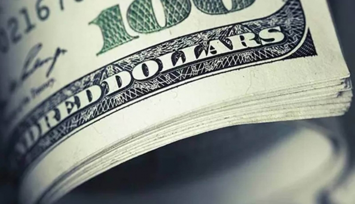 Alman devinden sıcağı sıcağına yıl sonu dolar tahmini! Dolar 37 TL...