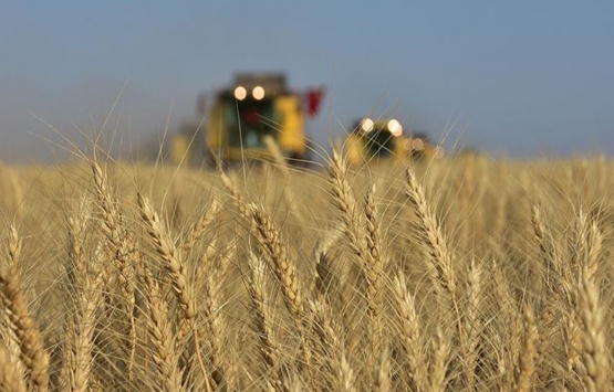 Rusya-Ukrayna savaşı arpa ve buğday fiyatlarını uçurdu? İşte son fiyatlar!