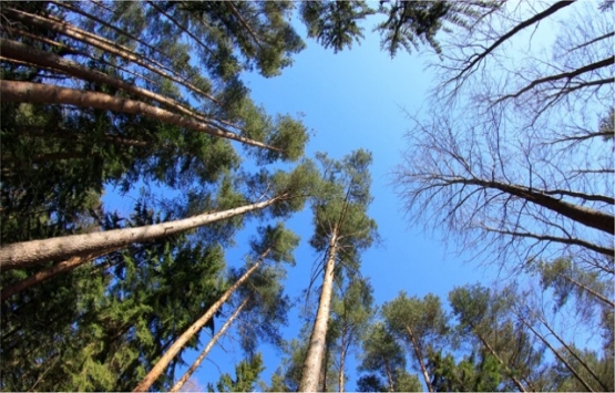 Unigarden da son daireler 122 bin TL ye!