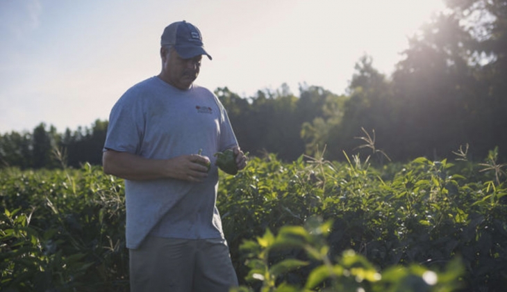 Çiftçiler dikkat! 11 Milyar hibe verilecek