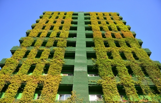 Adana da sarmaşık kaplı binada daire fiyatları 1 milyon TL yi aştı!