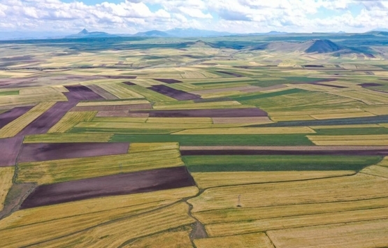 Gaziantep'te arazi kavgası: 8 yaralı! 