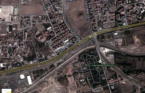 Ankara Hayvanat Bahçesi ne zaman açılıyor?