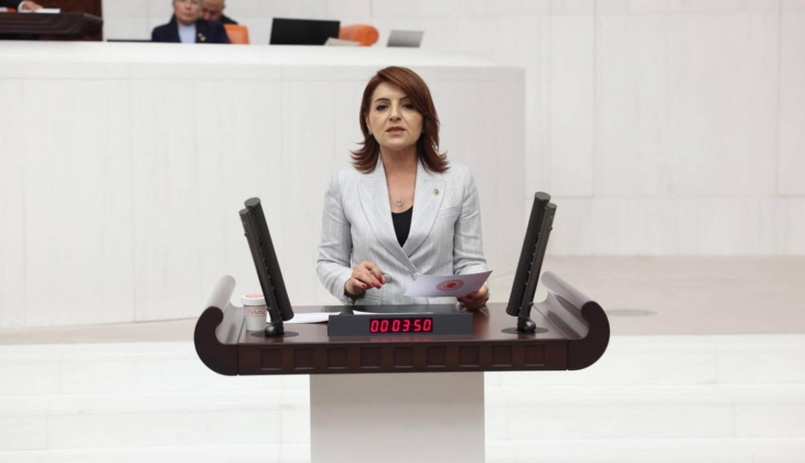 Milletvekili Gülcan Kış: Kira maaşı geçti; emekli barınamıyor, asgari ücretli ev tutamıyor!