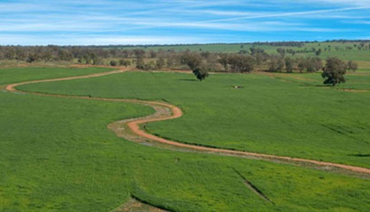 2B arazi satın alınır mı?