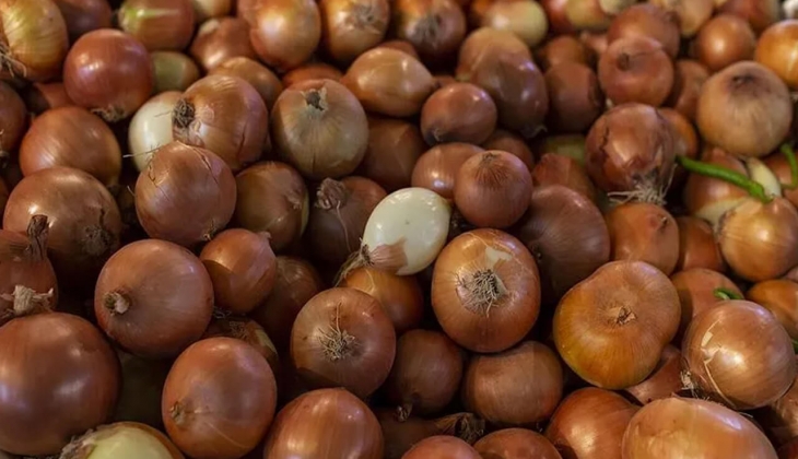 Soğan fiyatları dip yaptı! BİM, A101, Şok ve Migros ta soğan fiyatları ne kadar oldu? 6 Mayıs 2023 soğan fiyat listesi