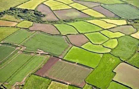 Hisseli arazilerin satışları durduruldu mu?