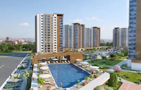 Beylikdüzü Demir Romance resimleri!