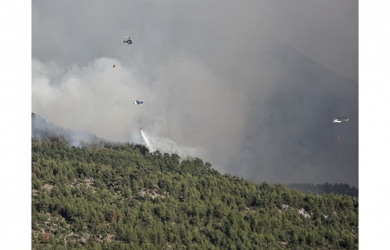 Yanan arazileri satışa çıkardılar!