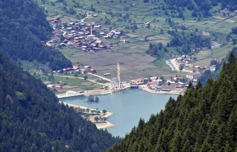 295 sıra nolu milli emlak genel tebliği