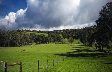 Miras kalan tarlaların paylaşımı!