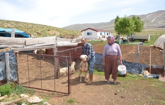 Antalya da Yörükler yaylalara taşınıyor!