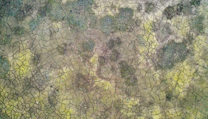 İstanbul daki 10 barajdan 3 tanesi resmen alarm veriyor!