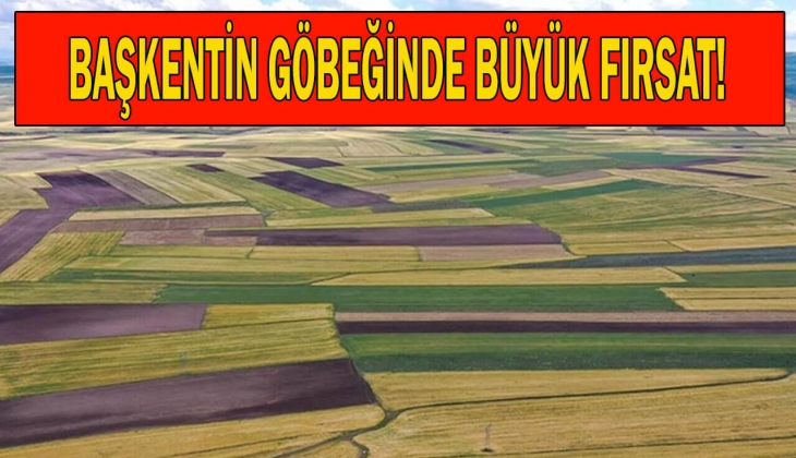 Ankara'da arsa sahibi olmak isteyenlere müjde! 276 bin TL'den başlayan fiyatlarla 10 arsa satılıyor!