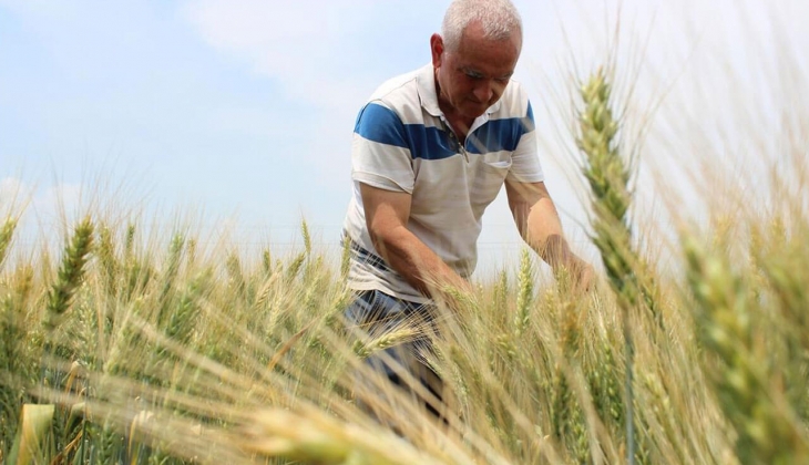 İngiliz basınının gündeminde Türk çiftçisi var! Binlerce çiftçi yüksek maliyetler ve borçlarla karşı karşıya!